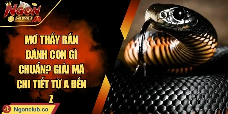 Mơ Thấy Rắn Đánh Con Gì Chuẩn? Giải Mã Chi Tiết Từ A Đến Z